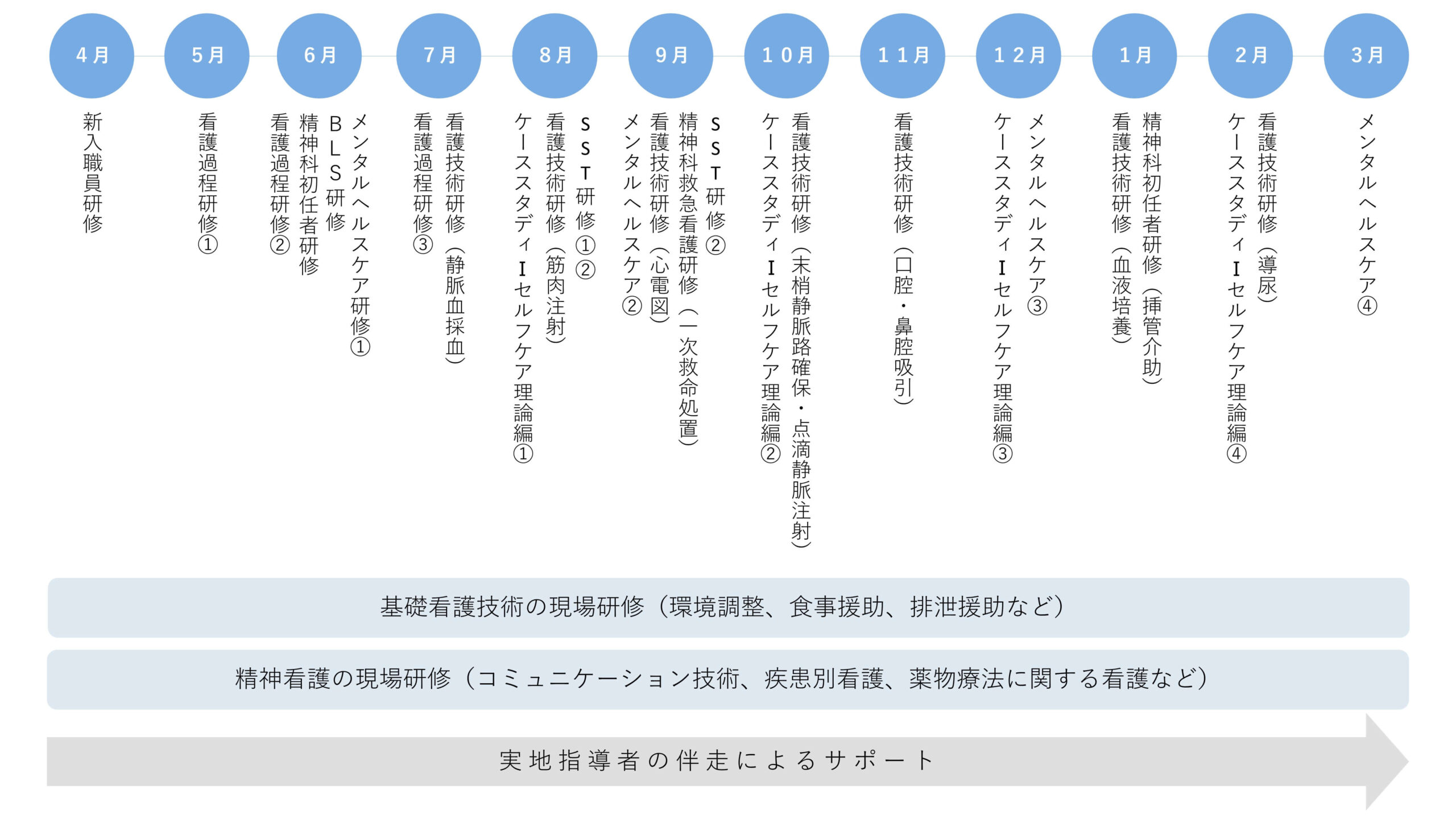 新卒看護師の1年目の教育内容